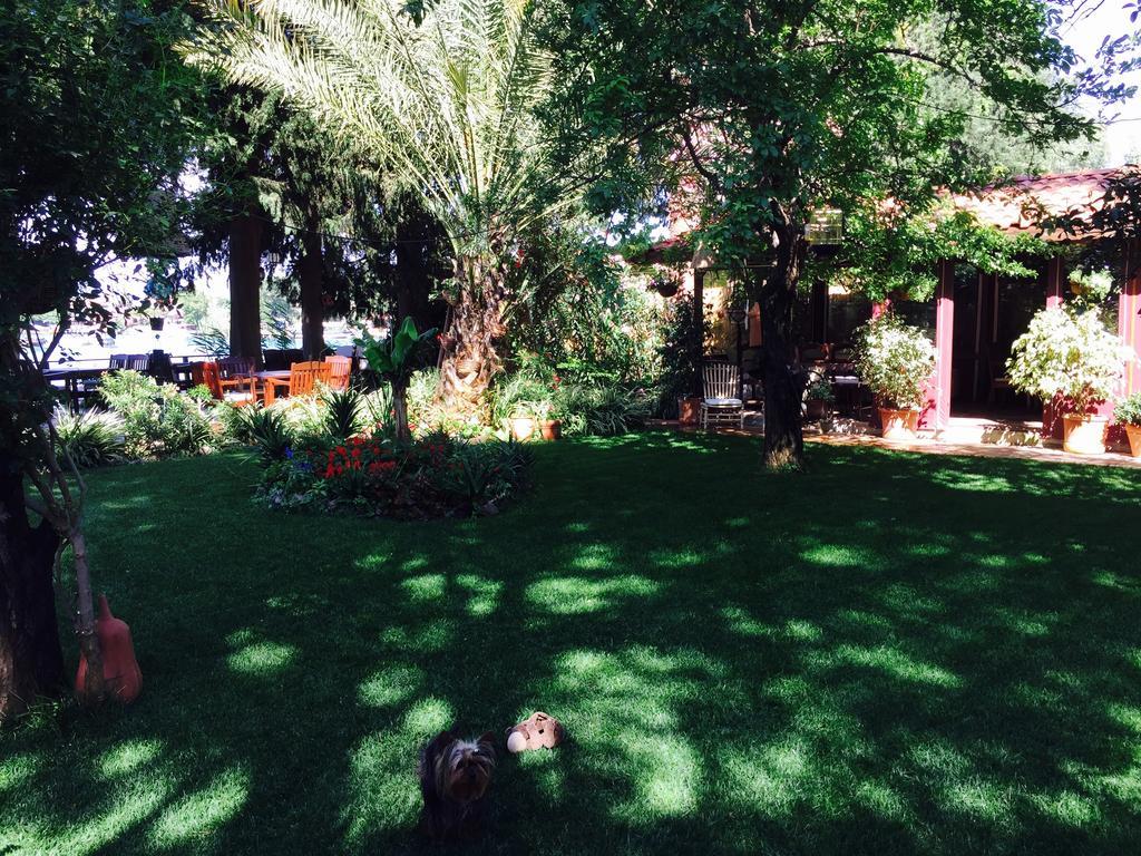 דליאן Hotel Happy Caretta מראה חיצוני תמונה