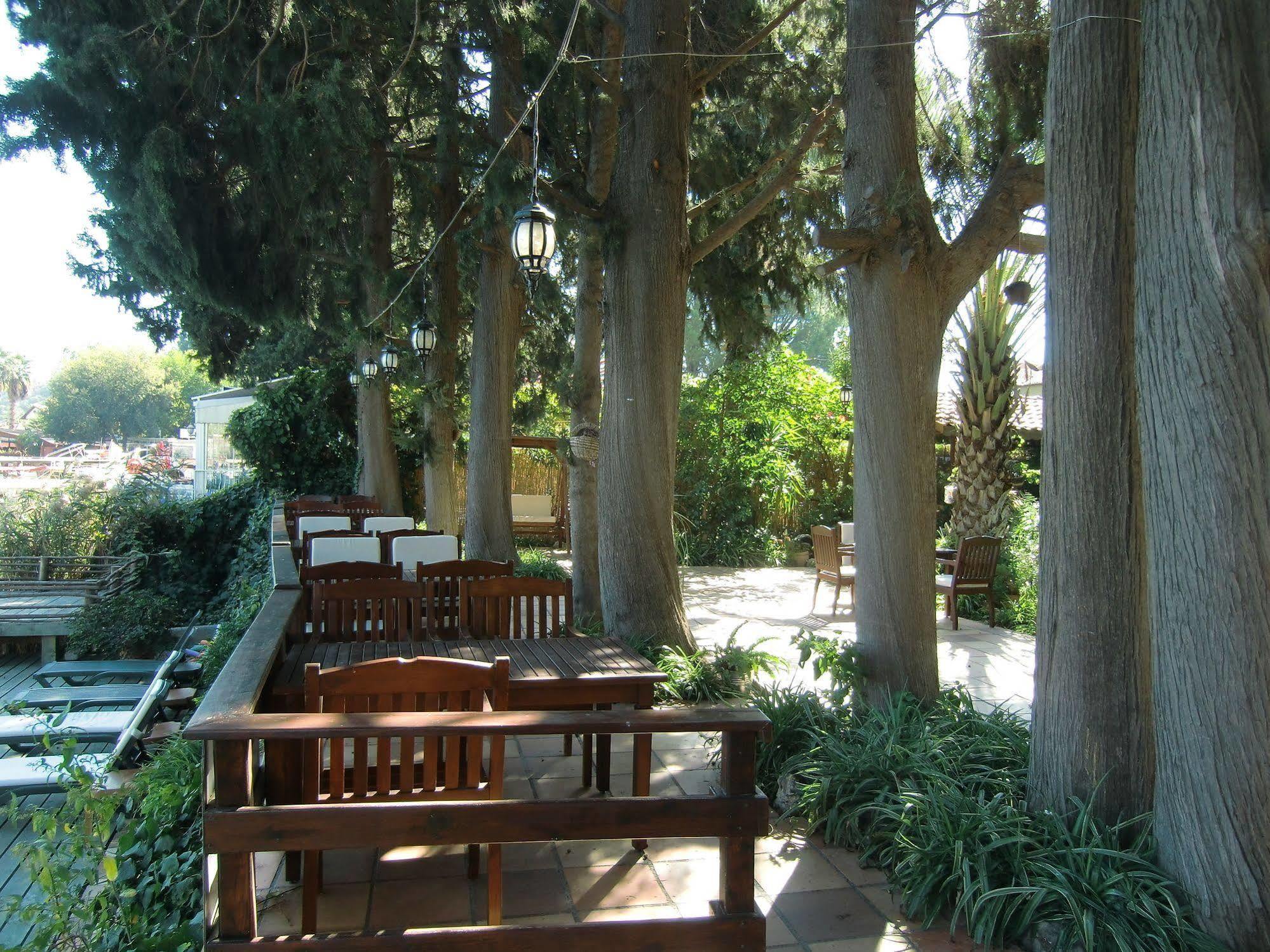 דליאן Hotel Happy Caretta מראה חיצוני תמונה